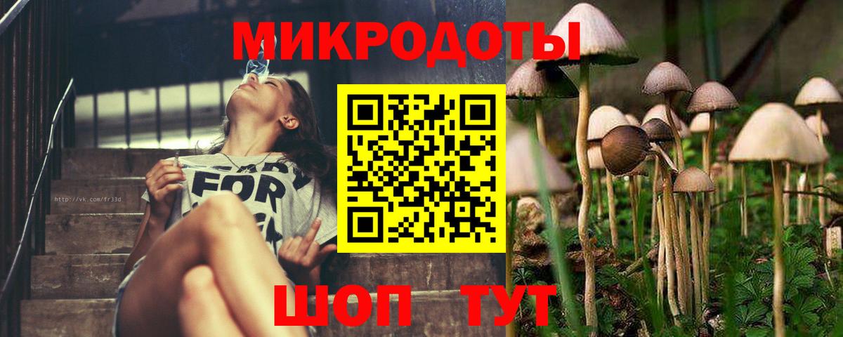 Галлюциногенные грибы MAGIC MUSHROOMS Бор